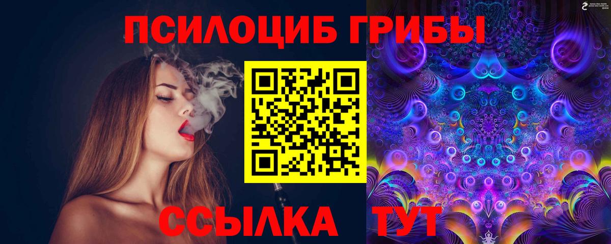 Псилоцибиновые грибы GOLDEN TEACHER Псков