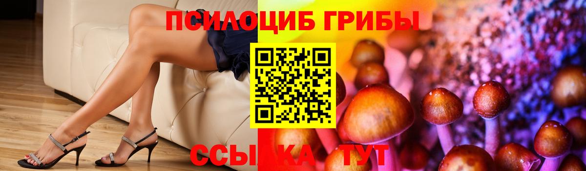Псилоцибиновые грибы мицелий  Псилоцибиновые грибы GOLDEN TEACHER  Вход с VPN  Псков 